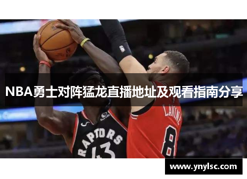 NBA勇士对阵猛龙直播地址及观看指南分享