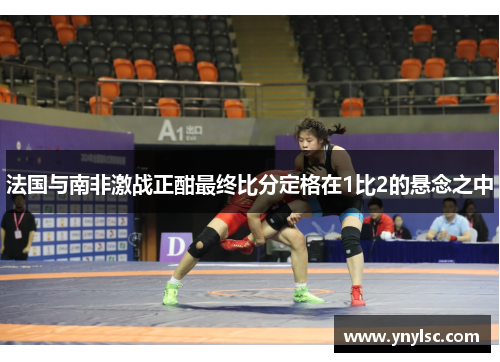 法国与南非激战正酣最终比分定格在1比2的悬念之中