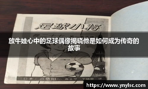 芒果体育官方网站